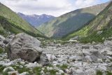 Улыбка Шхельды, image of landscape/habitat.