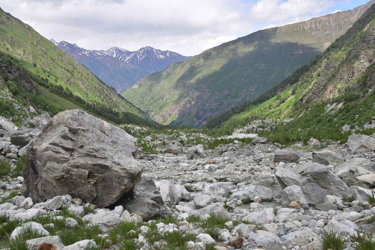 Улыбка Шхельды, image of landscape/habitat.