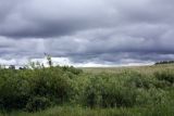 Image of landscape