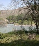 Image of landscape