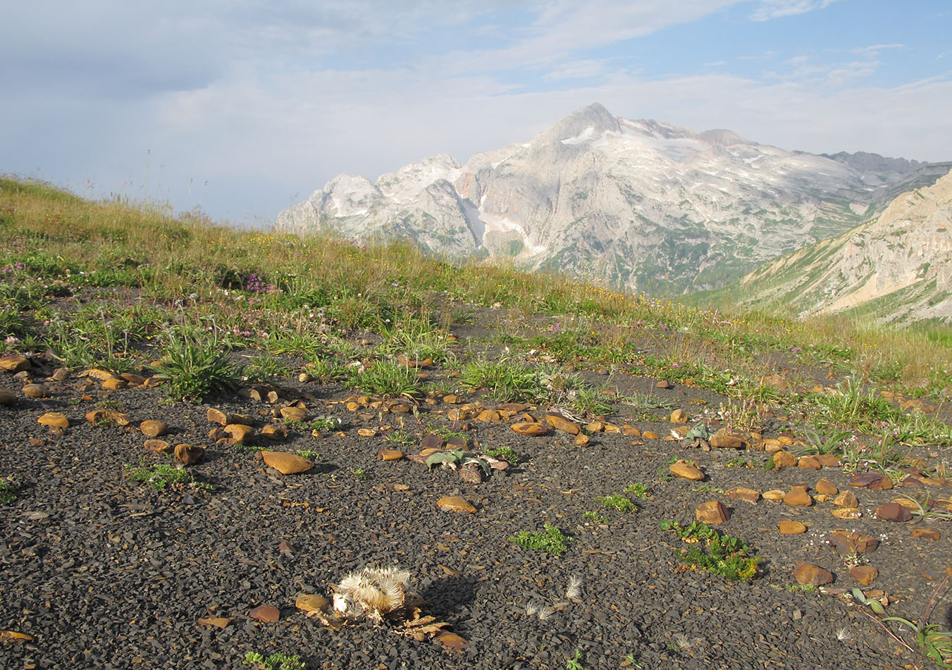 Гора Гузерипль, image of landscape/habitat.