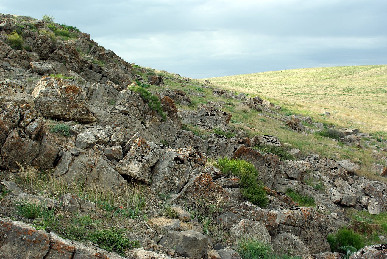 Кайнарбулак, изображение ландшафта.