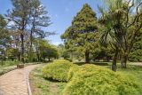 Батумский ботанический сад, изображение ландшафта.