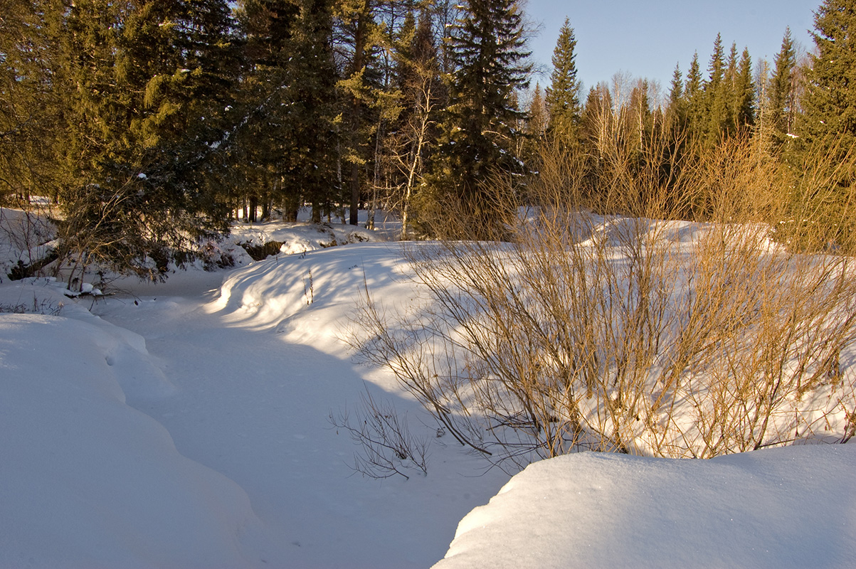 Окрестности хребта Ялангас, image of landscape/habitat.