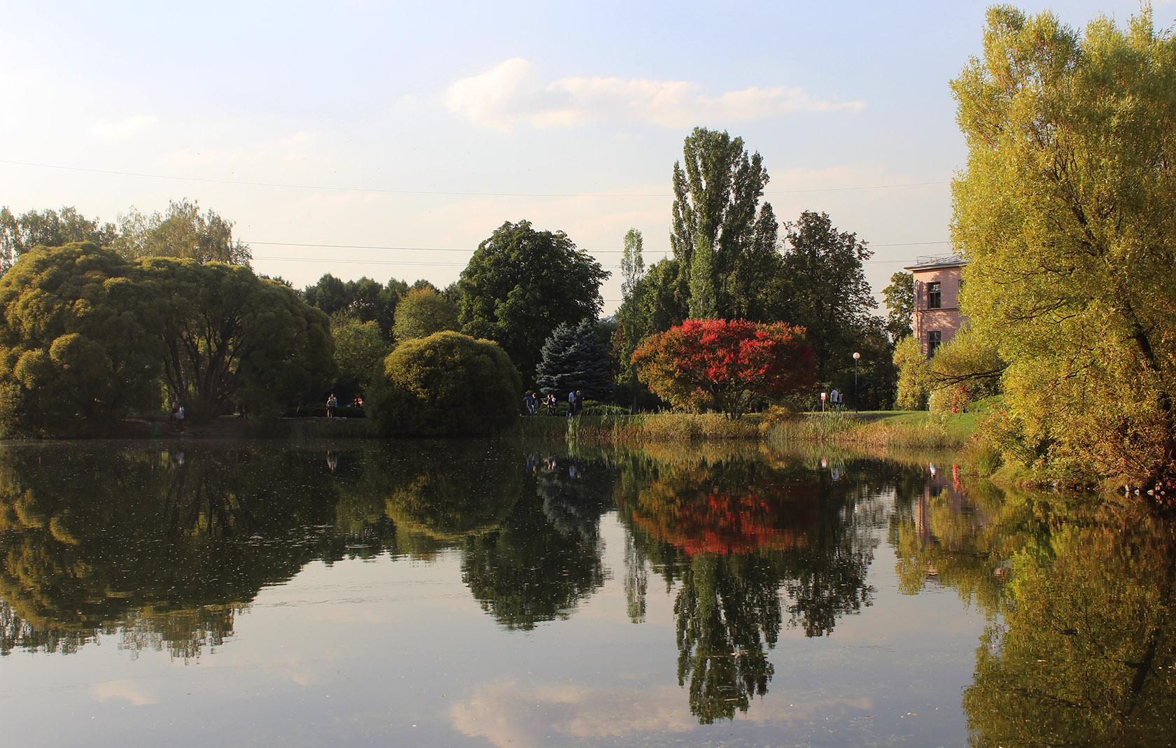 ГБС РАН, image of landscape/habitat.