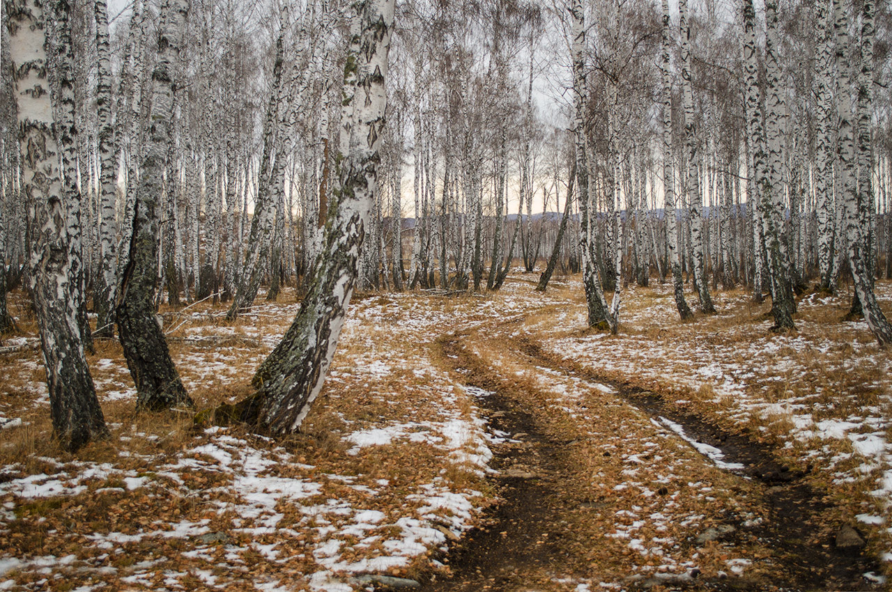 Окрестности села Вознесенка, image of landscape/habitat.