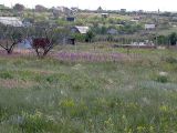 Image of landscape