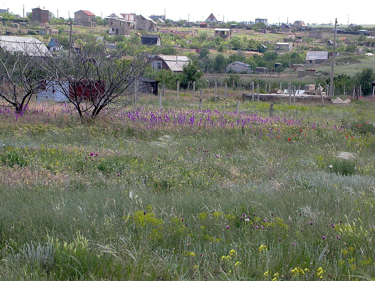 Новоозёрное и окрестности, image of landscape/habitat.