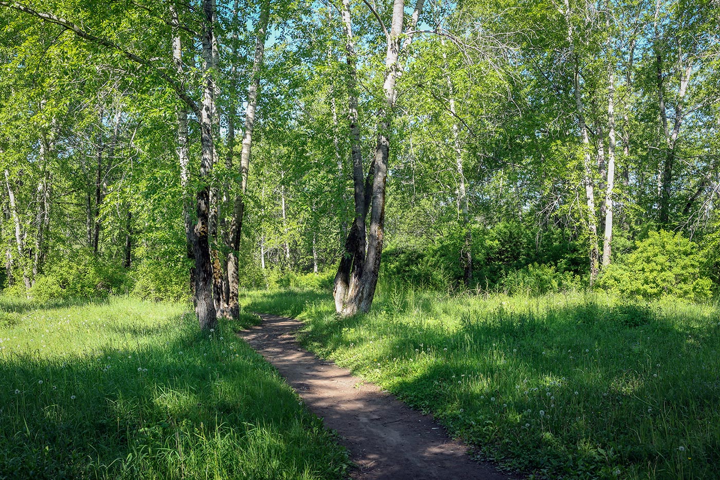 Закамск, image of landscape/habitat.