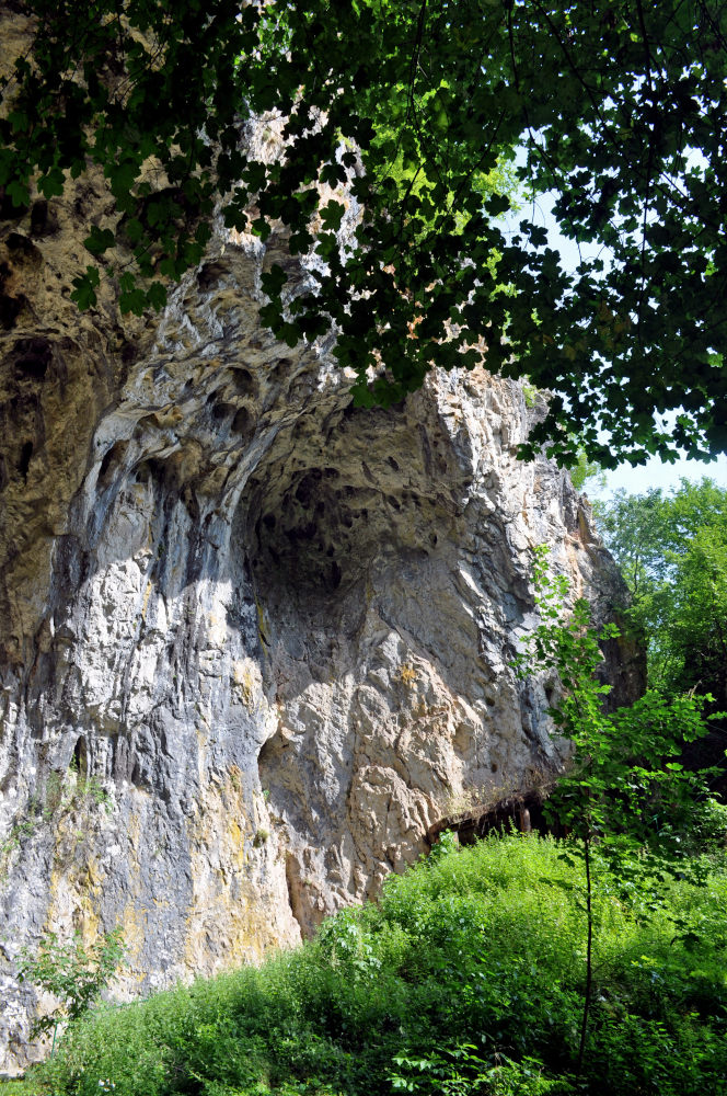 Окрестности пещеры Стопича, image of landscape/habitat.