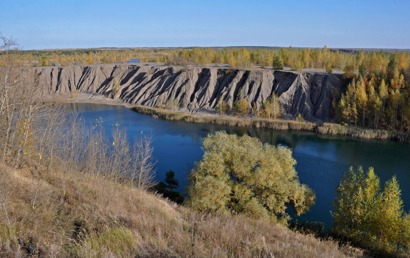 Окрестности села Люторичи, image of landscape/habitat.