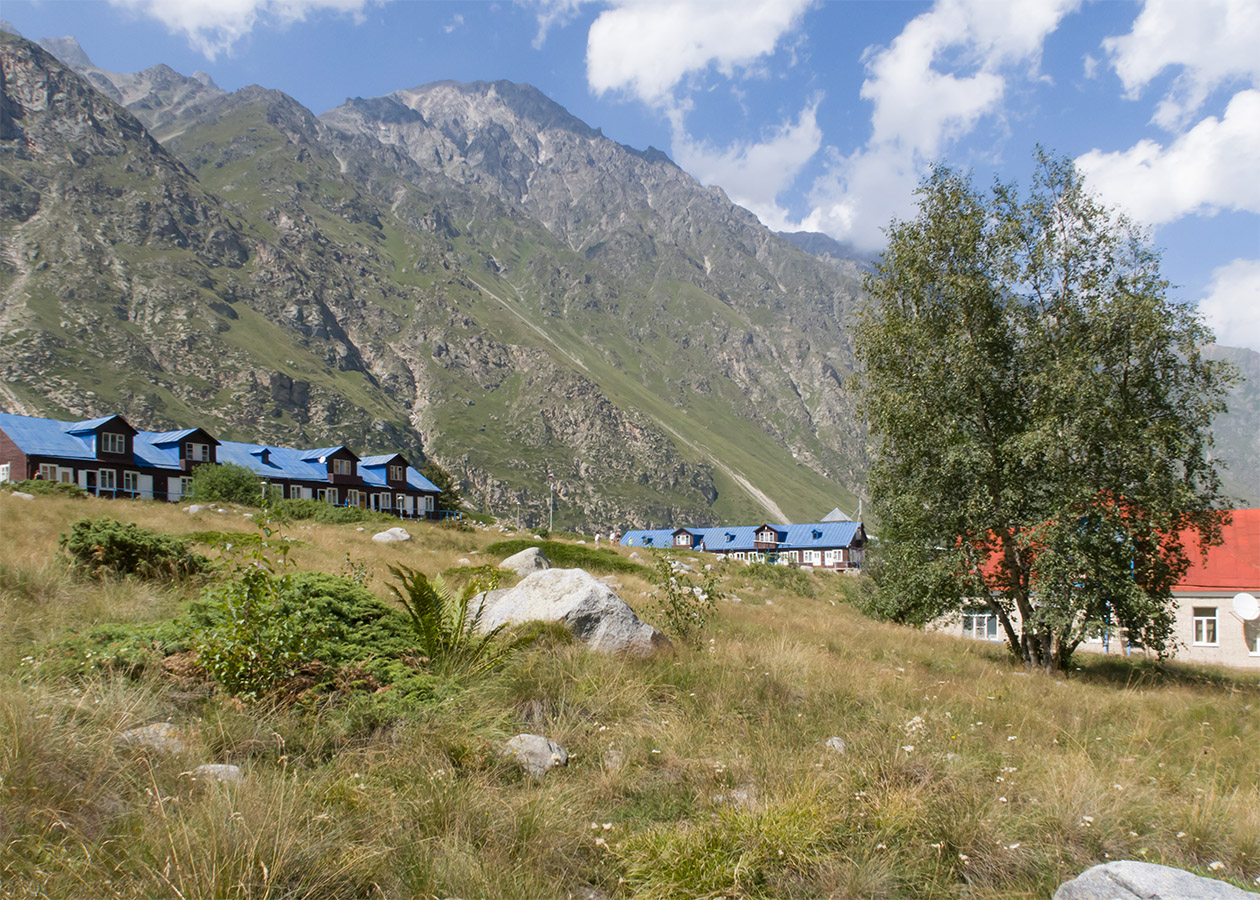 Альплагерь "Безенги", image of landscape/habitat.