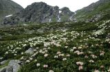 Image of landscape