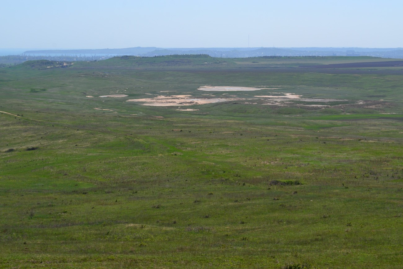 Окрестности села Бондаренково, image of landscape/habitat.