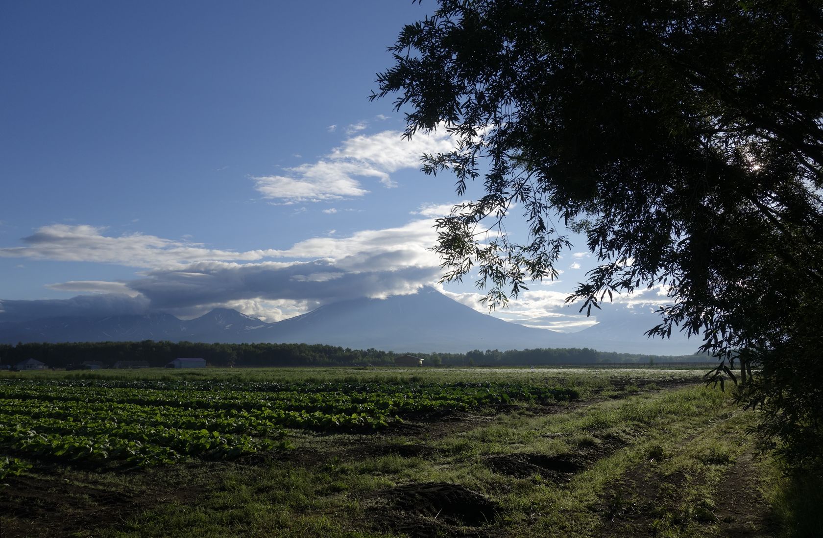 Мечта, image of landscape/habitat.