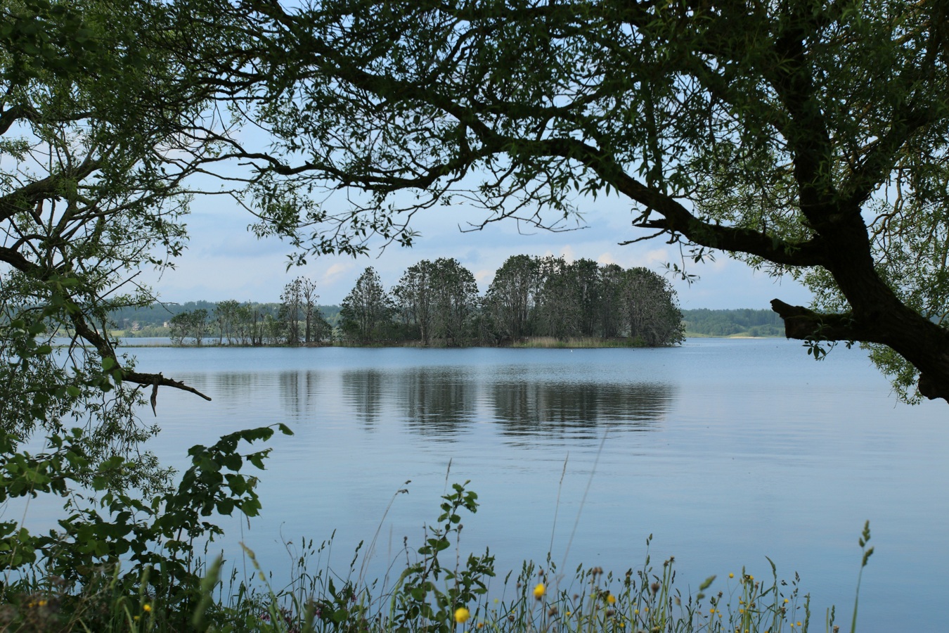 Езерище и окрестности, image of landscape/habitat.