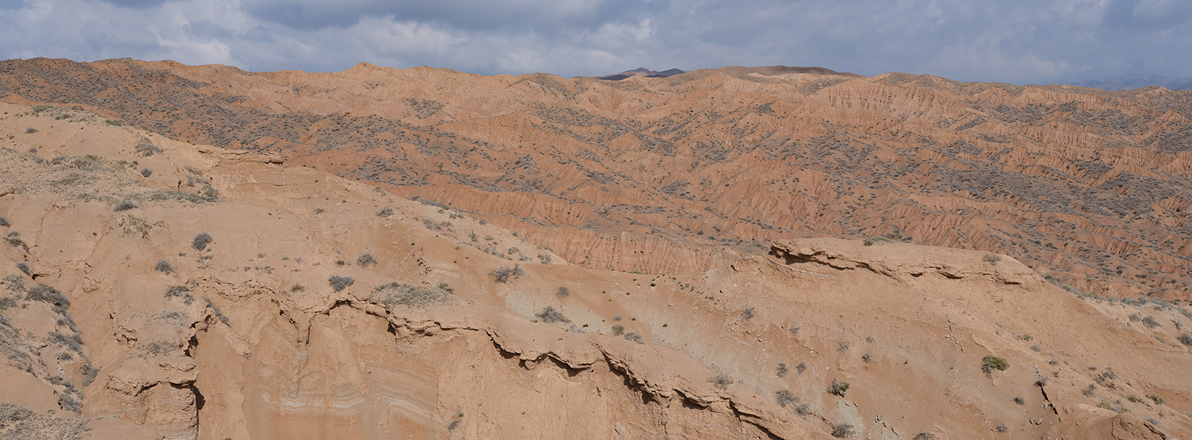 Долонтау, image of landscape/habitat.