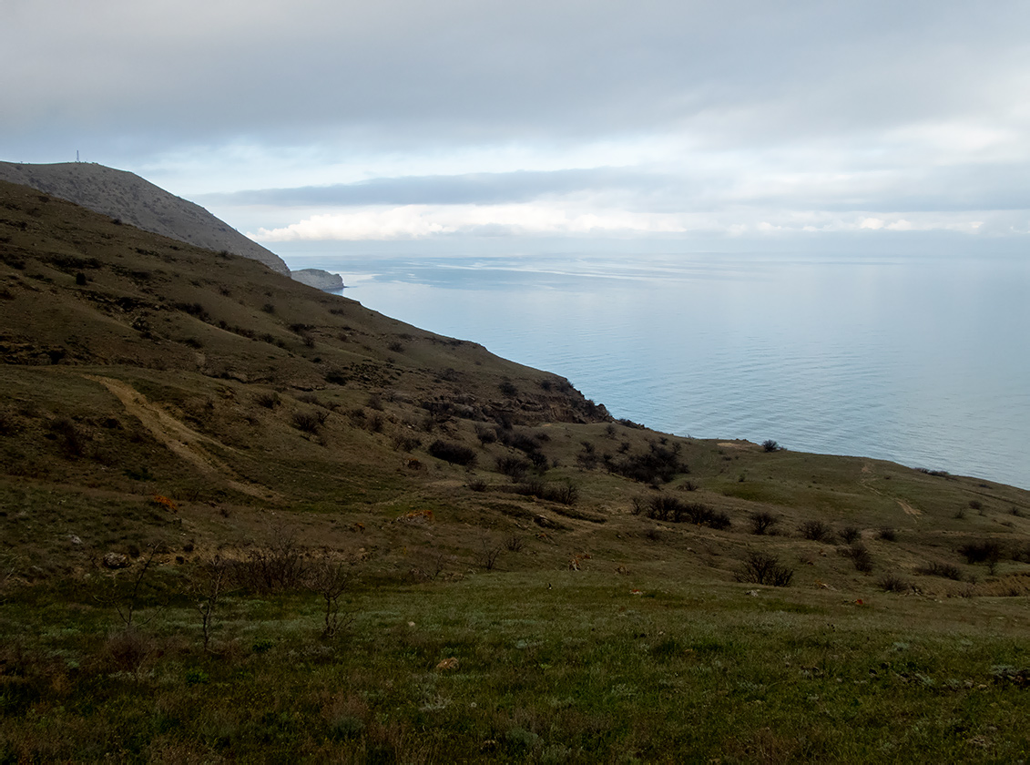 Меганом, изображение ландшафта.