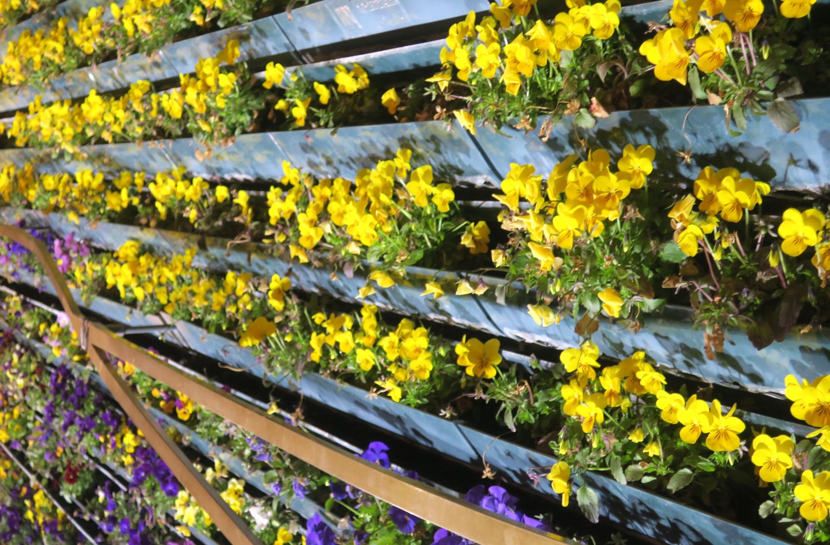 Шанхай, image of landscape/habitat.