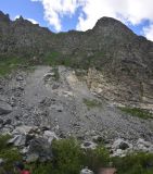 Улыбка Шхельды, image of landscape/habitat.
