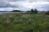 Image of landscape