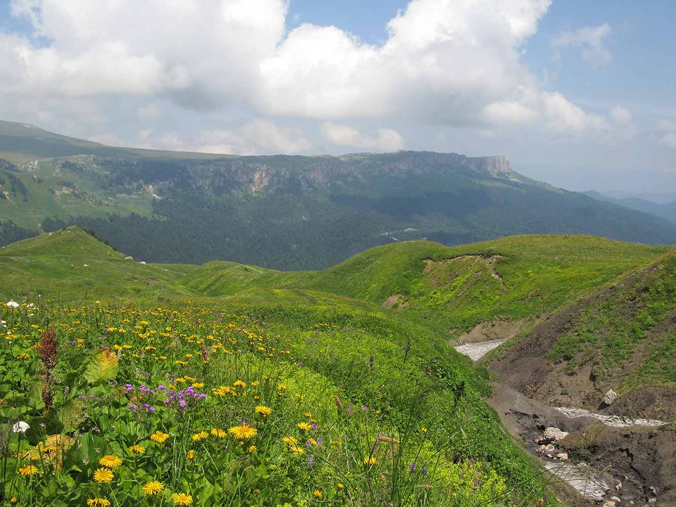 Гора Гузерипль, image of landscape/habitat.