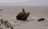 Турка, image of landscape/habitat.
