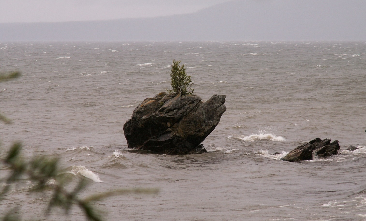 Турка, image of landscape/habitat.