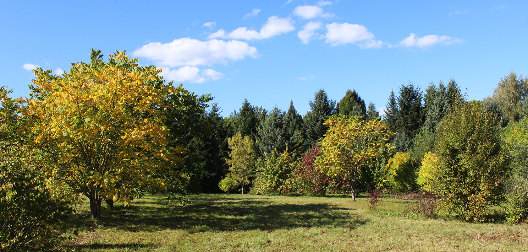 Переславский дендросад, image of landscape/habitat.