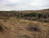 Image of landscape