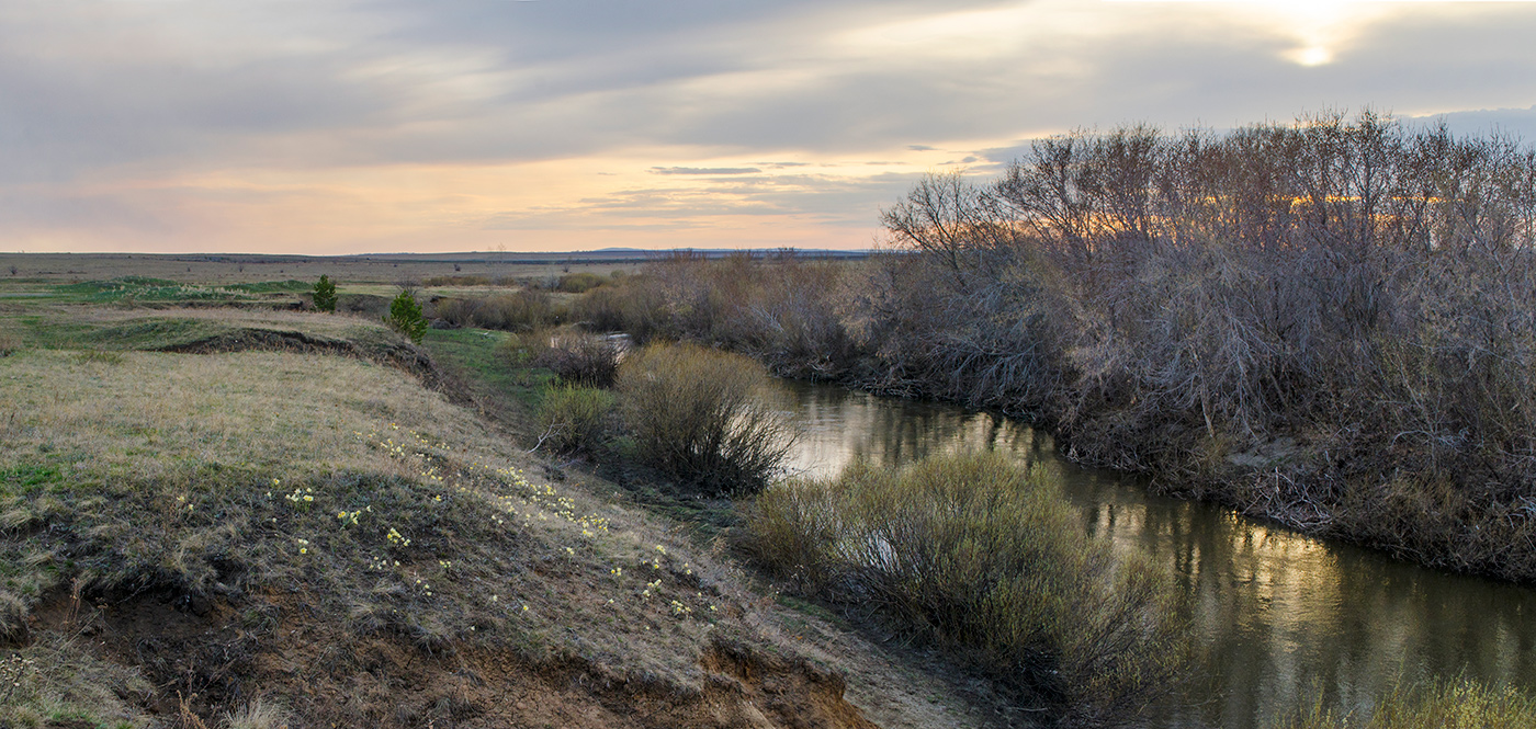 Окрестности Черноречья, image of landscape/habitat.
