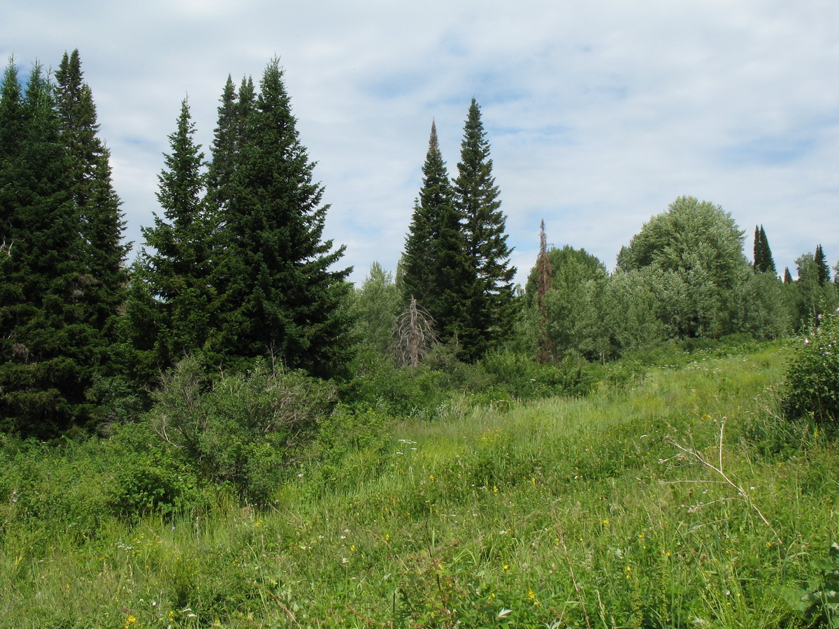 Зимовьё, image of landscape/habitat.