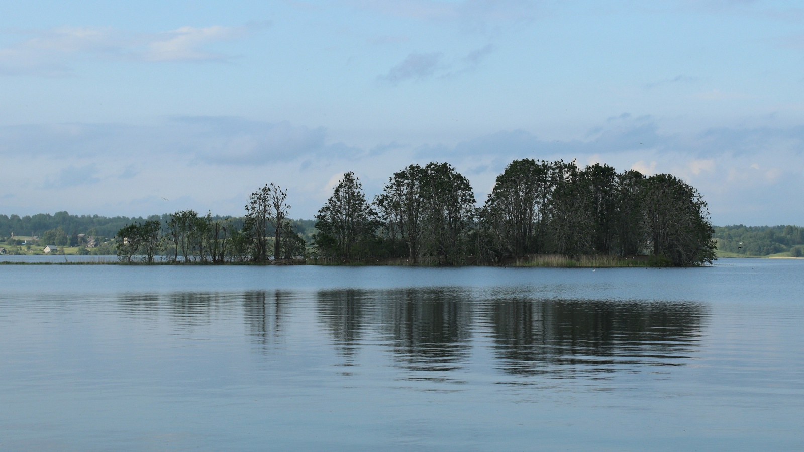 Езерище и окрестности, image of landscape/habitat.