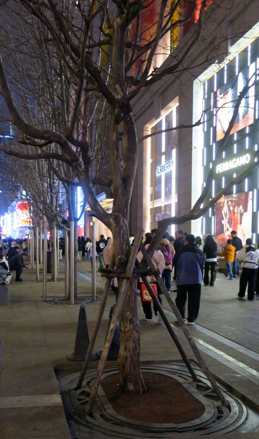 Шанхай, image of landscape/habitat.