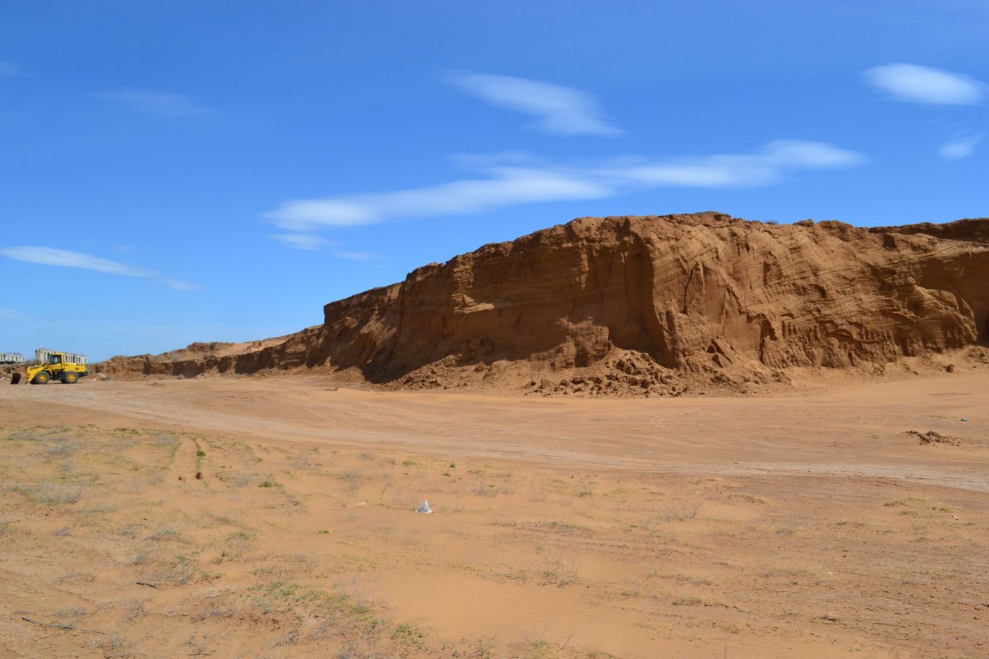 Дельта (средняя зона), image of landscape/habitat.