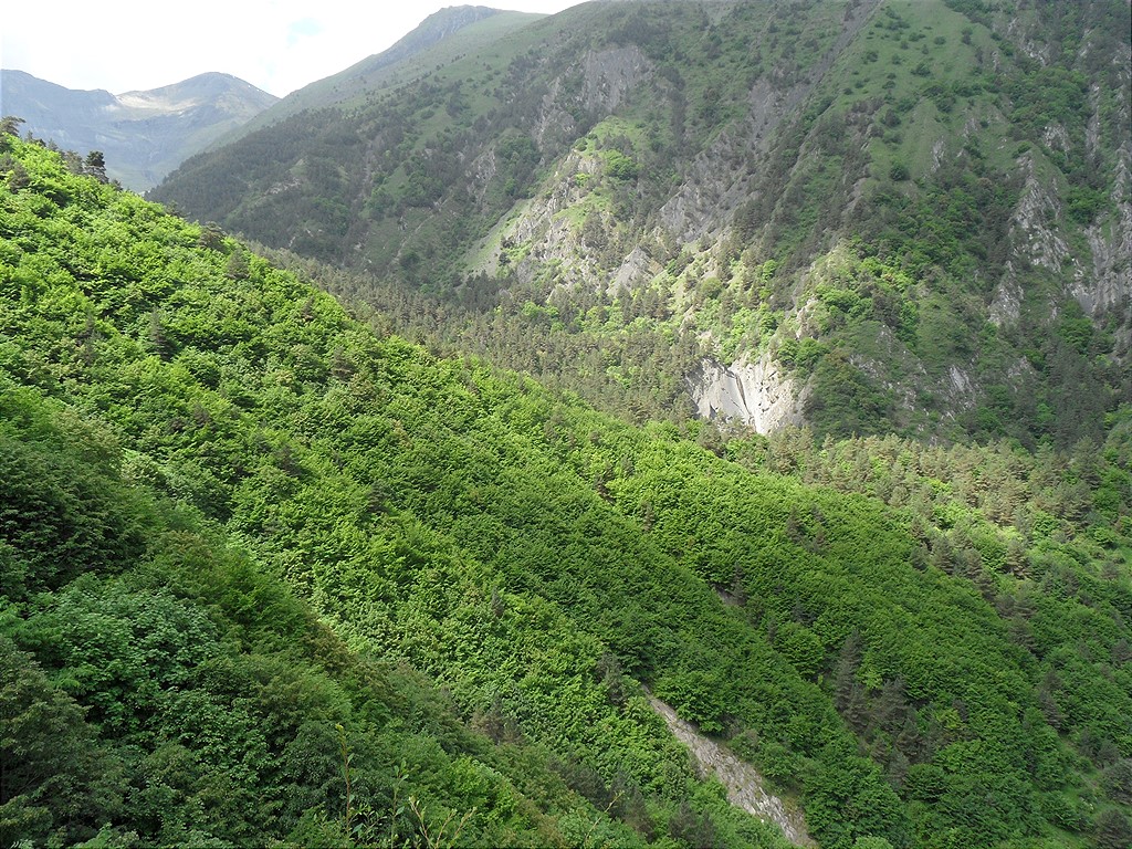 Окрестности села Хрюг, image of landscape/habitat.