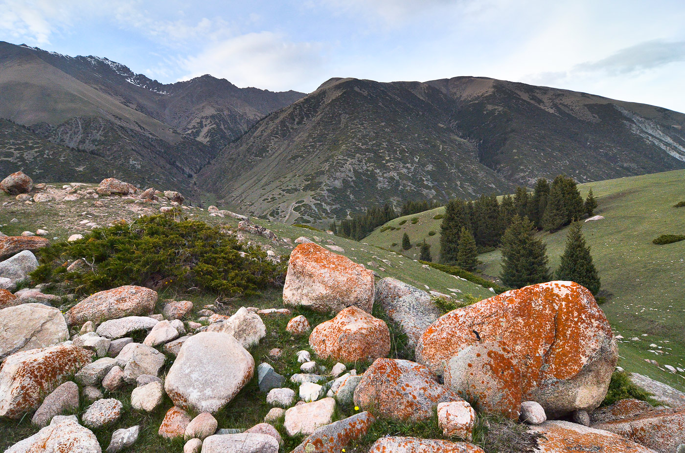 Григорьевское ущелье, image of landscape/habitat.