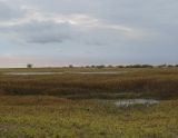 Image of landscape