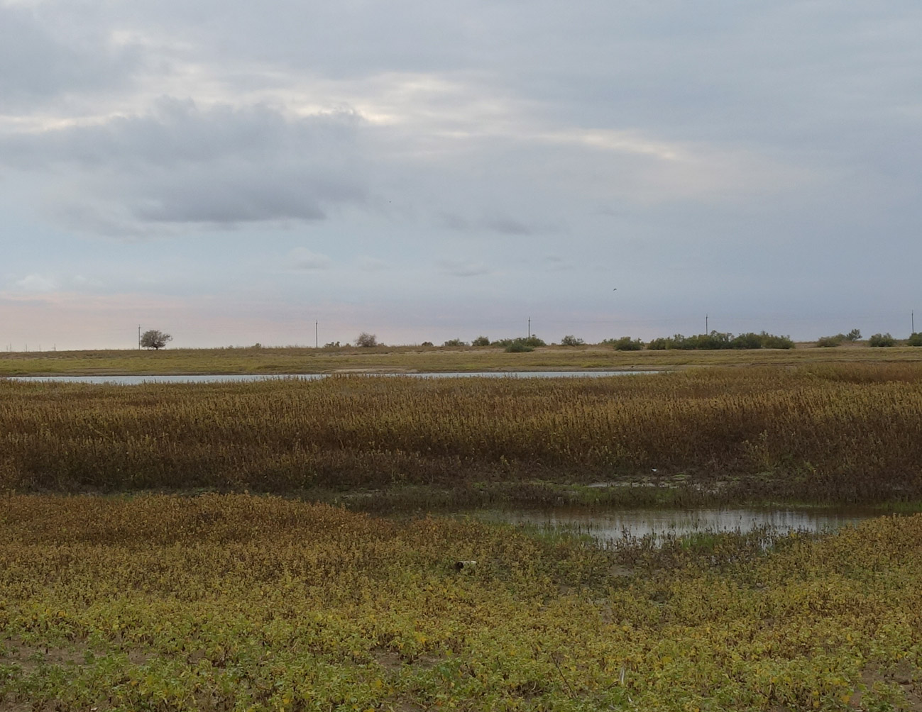 Досанг, image of landscape/habitat.