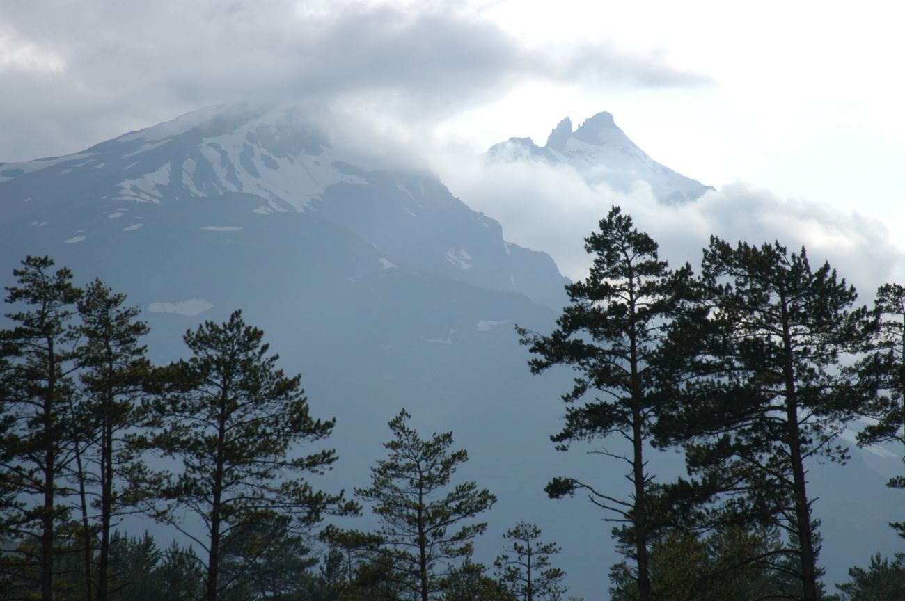 Ручей Когутайка, image of landscape/habitat.