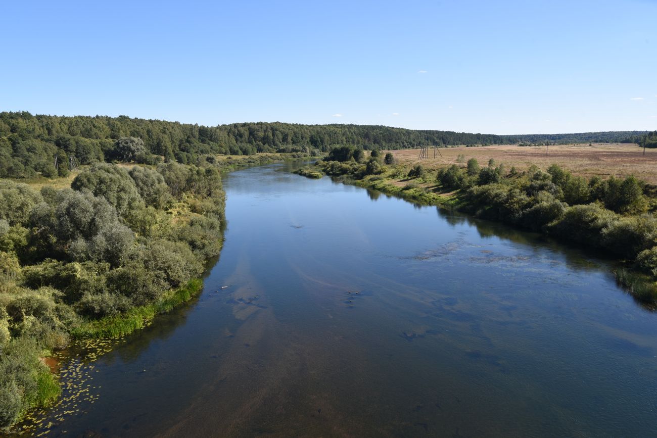 Окрестности деревни Колыхманово, image of landscape/habitat.