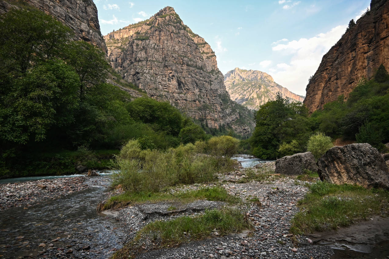 Долина реки Афлатун, image of landscape/habitat.