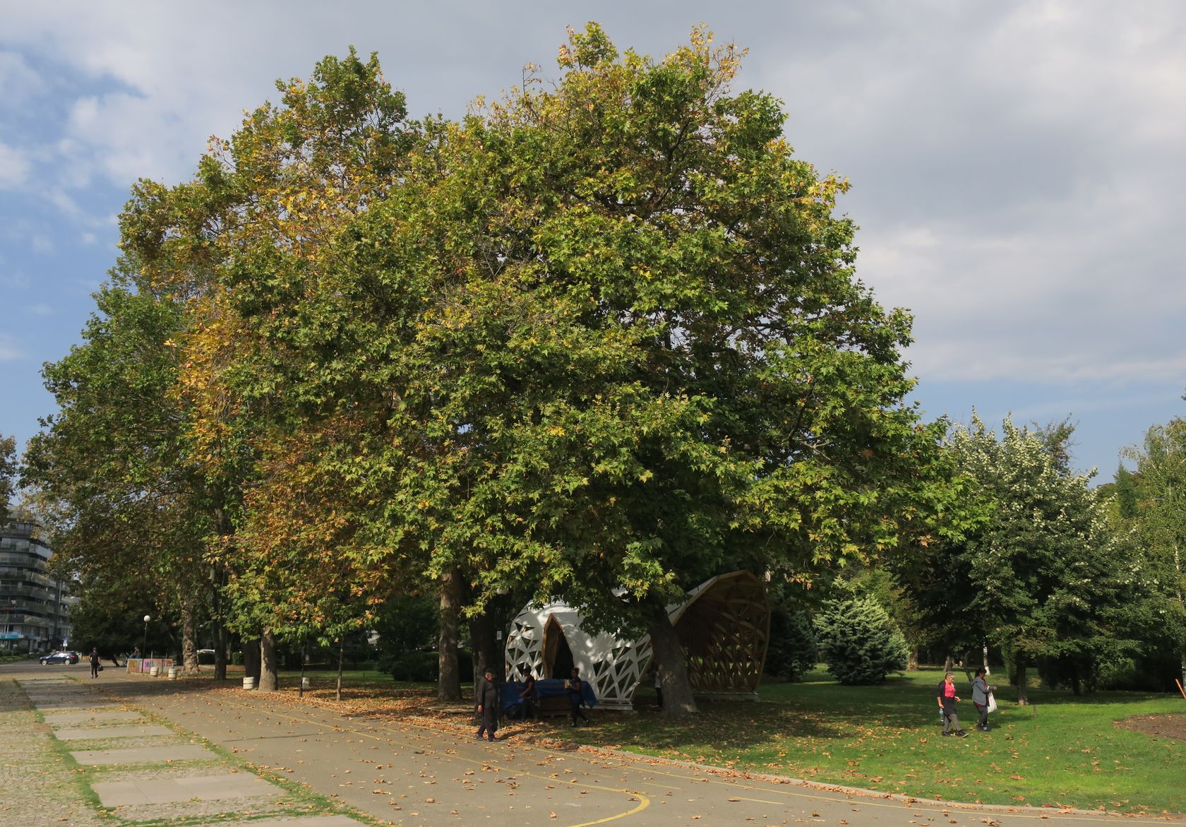 Бургас, image of landscape/habitat.