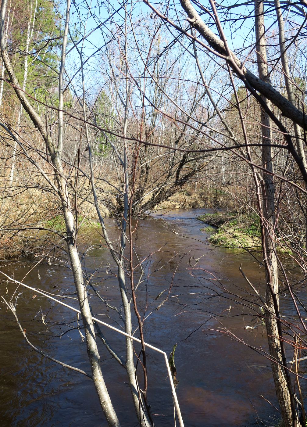 Омулёвый, image of landscape/habitat.