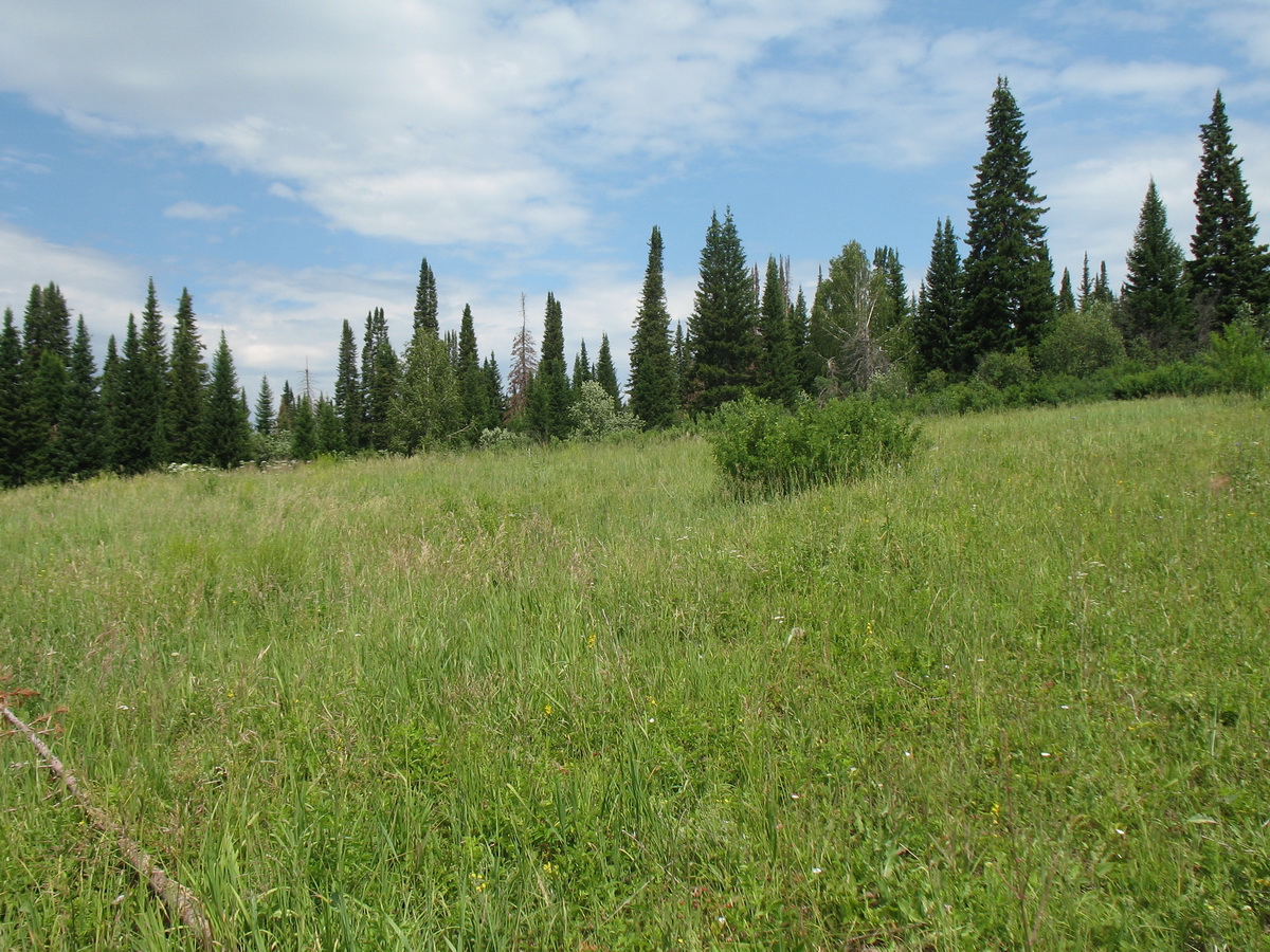 Зимовьё, image of landscape/habitat.