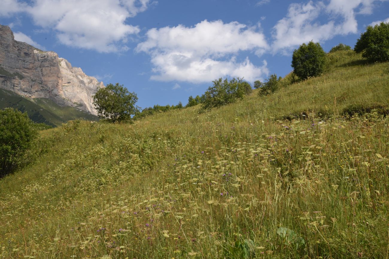 Урочище Хилиди, image of landscape/habitat.