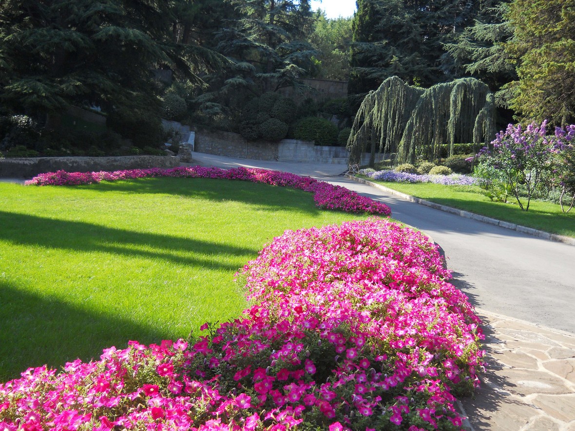 "Айвазовское", image of landscape/habitat.
