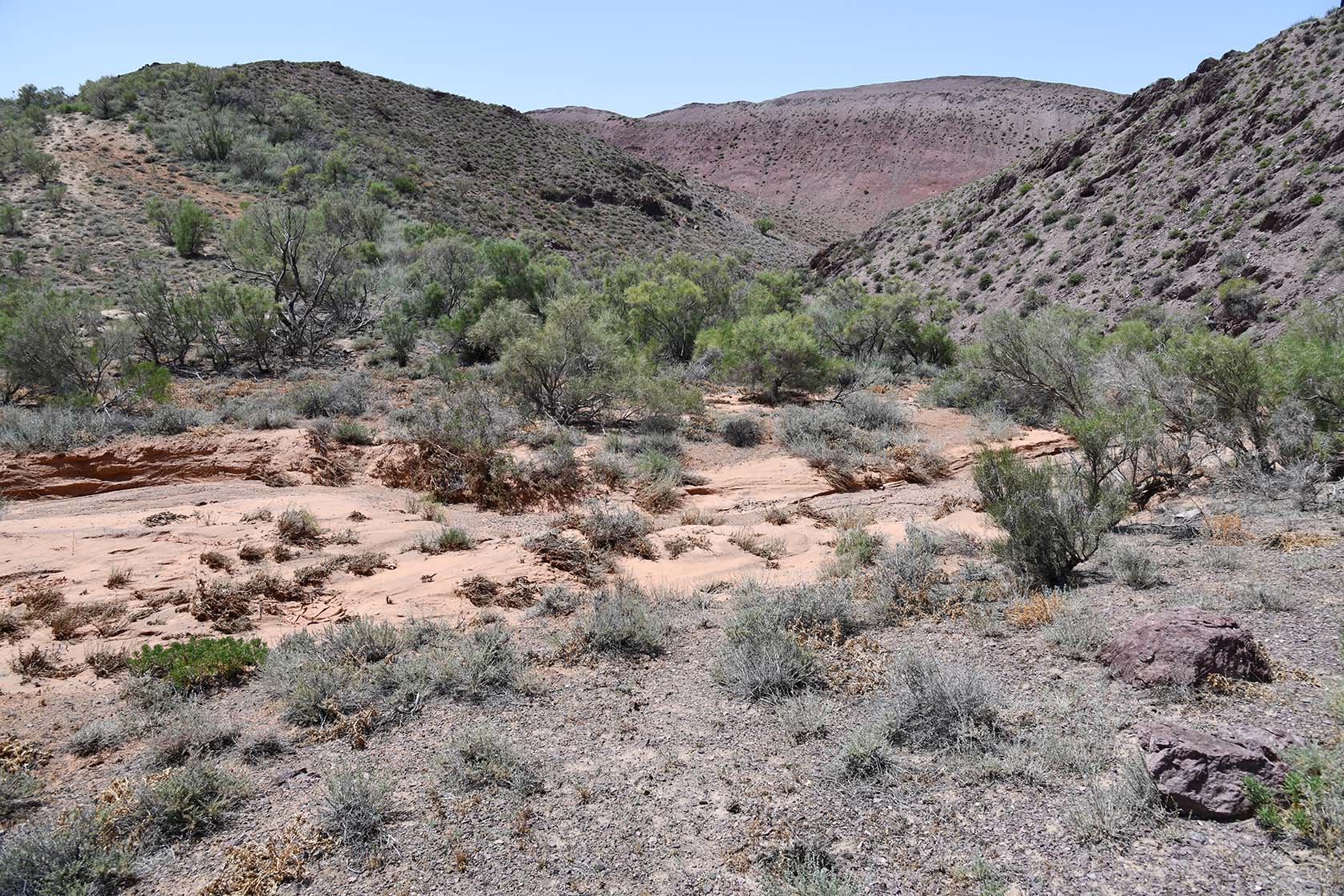 Бала-Богуты, image of landscape/habitat.