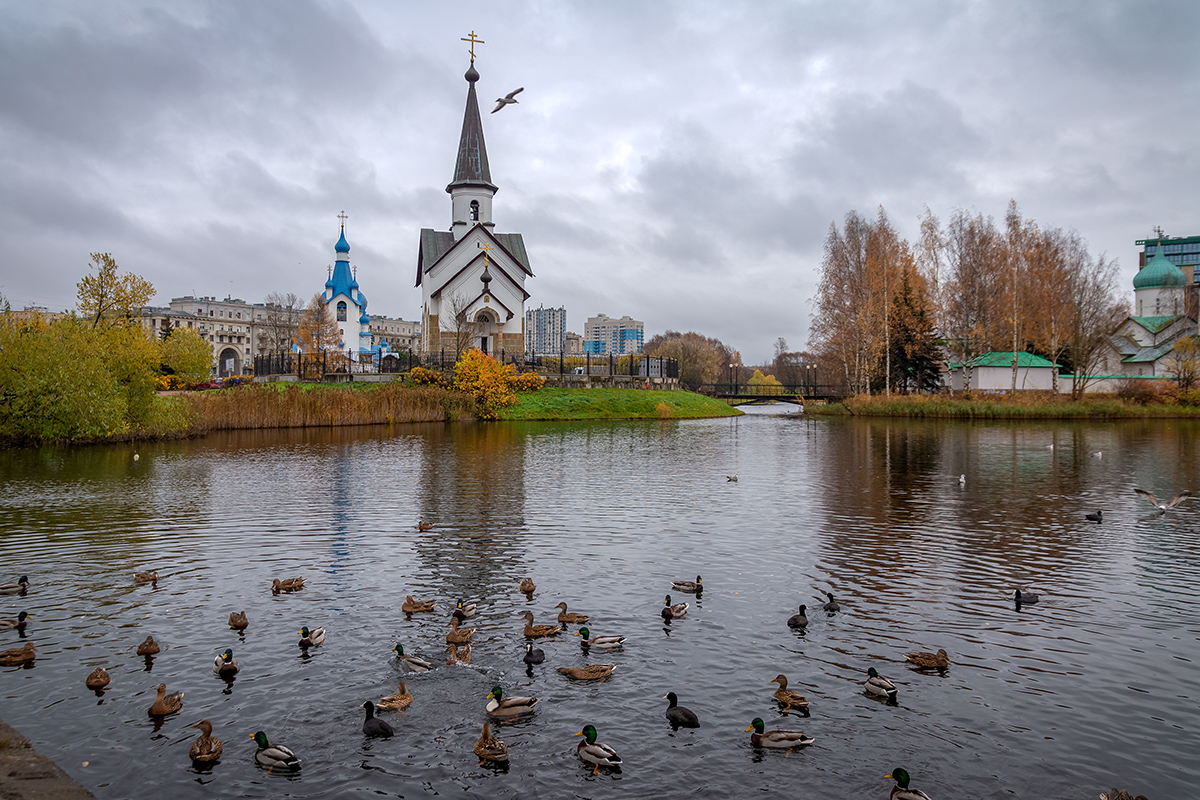 Московский район, image of landscape/habitat.