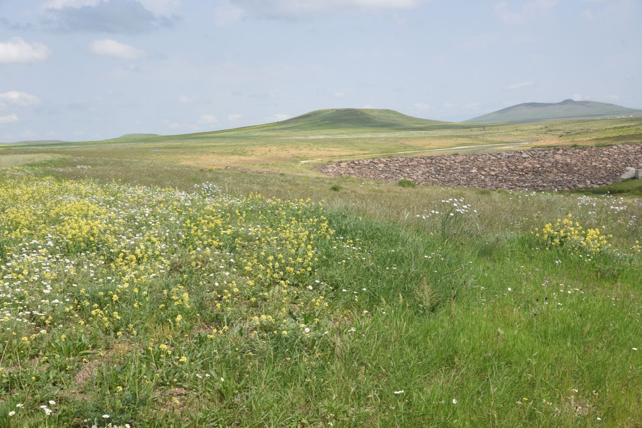 Овраг Хачидзор, image of landscape/habitat.